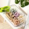 image5Compartment Clear Plastic Bin  Divided Art Supplies Cosmetic Makeup Caddy Organizer  Multiuse Storage Container for Vanity Bathroom Kitchen Office Craft Shower Cleaning Items 1 Pack